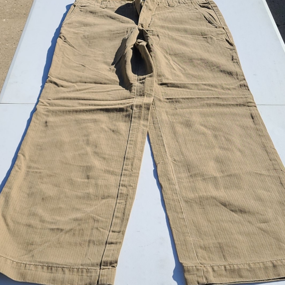 Express pants